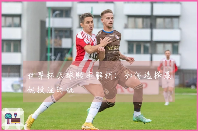 世界杯买球赔率解析：如何选择最优投注时机