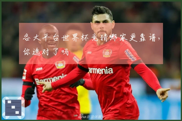 各大平台世界杯竞猜哪家更靠谱，你选对了吗