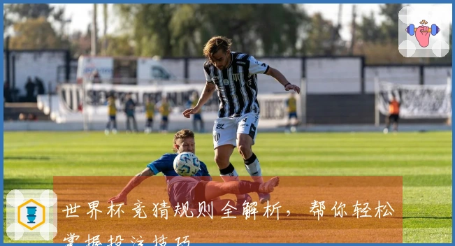 世界杯竞猜规则全解析，帮你轻松掌握投注技巧