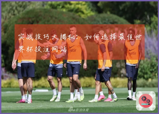 实战技巧大揭秘：如何选择最佳世界杯投注网站
