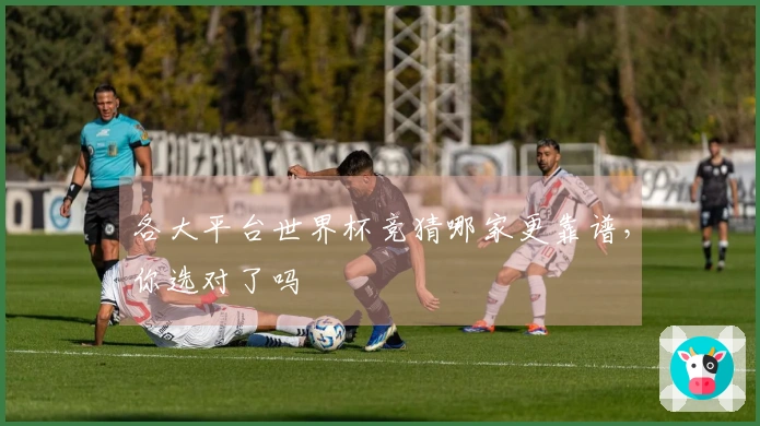 各大平台世界杯竞猜哪家更靠谱，你选对了吗