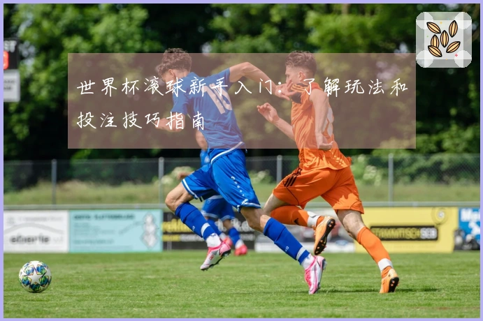 世界杯滚球新手入门：了解玩法和投注技巧指南