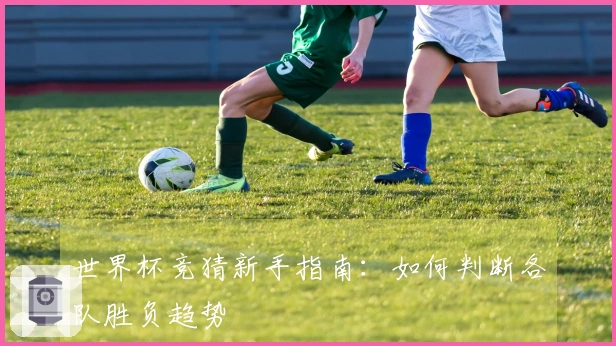 世界杯竞猜新手指南：如何判断各队胜负趋势