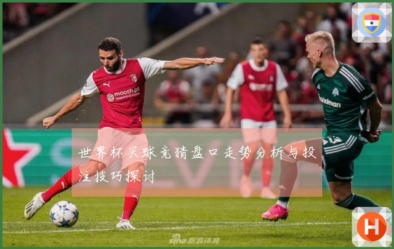 世界杯买球竞猜盘口走势分析与投注技巧探讨