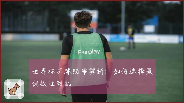 世界杯买球赔率解析：如何选择最优投注时机