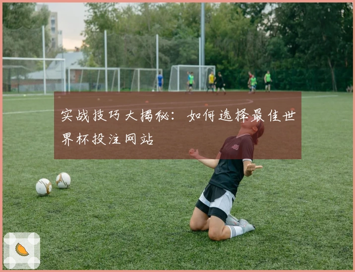 实战技巧大揭秘：如何选择最佳世界杯投注网站