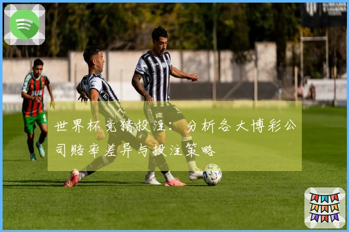 世界杯竞猜投注：分析各大博彩公司赔率差异与投注策略